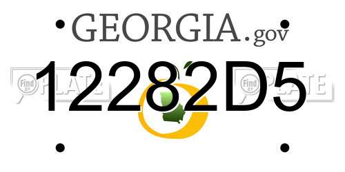 12282D5 Georgia License Plate