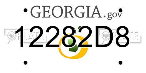 12282D8 Georgia License Plate