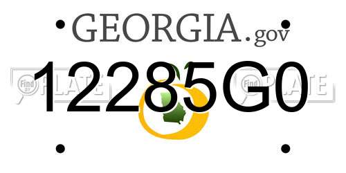 12285G0 Georgia License Plate