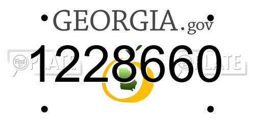 1228660 Georgia License Plate