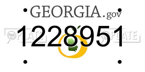 1228951 Georgia License Plate