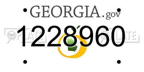 1228960 Georgia License Plate