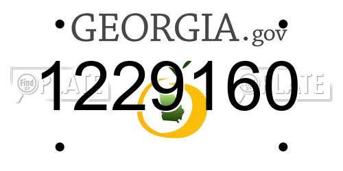 1229160 Georgia License Plate
