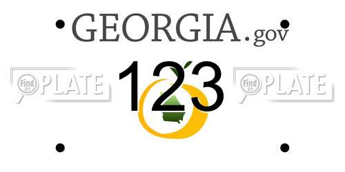 123 Georgia License Plate