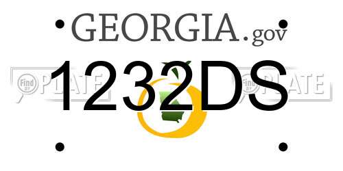 1232DS Georgia License Plate