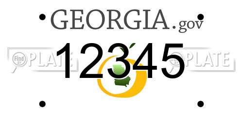 12345 Georgia License Plate