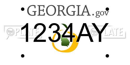 1234AY Georgia License Plate