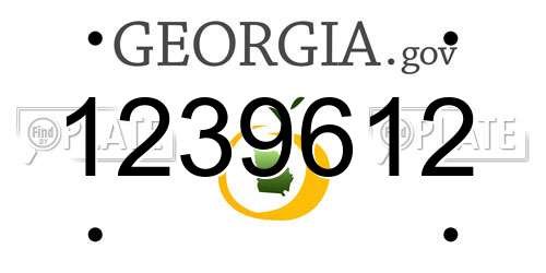 1239612 Georgia License Plate