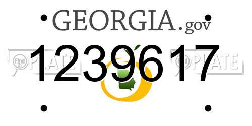 1239617 Georgia License Plate