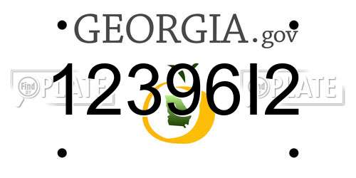 12396I2 Georgia License Plate