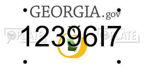 12396I7 Georgia License Plate