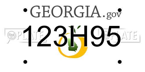123H95 Georgia License Plate