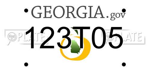 123T05 Georgia License Plate