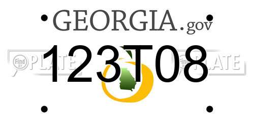 123T08 Georgia License Plate