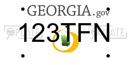 123TFN Georgia License Plate