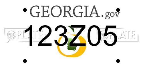123Z05 Georgia License Plate