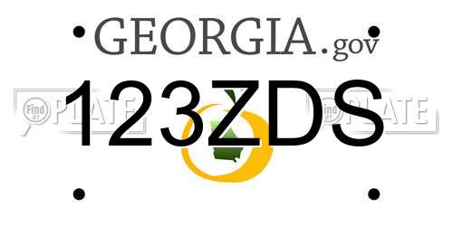 123ZDS Georgia License Plate