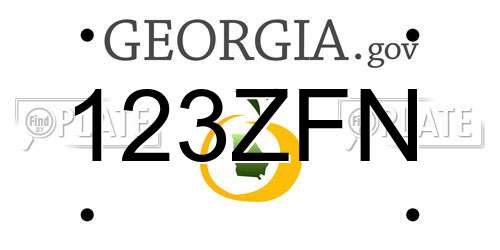 123ZFN Georgia License Plate