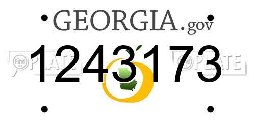 1243173 Georgia License Plate