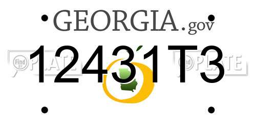 12431T3 Georgia License Plate