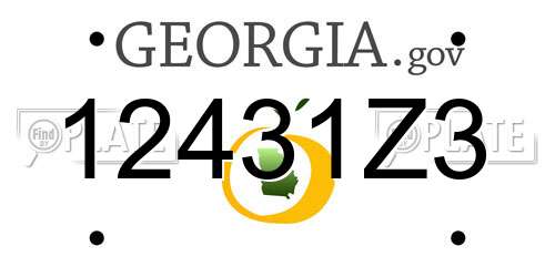 12431Z3 Georgia License Plate