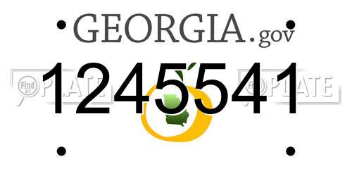 1245541 Georgia License Plate