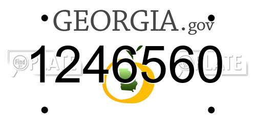 1246560 Georgia License Plate