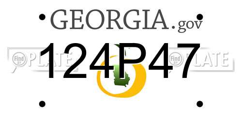 124P47 Georgia License Plate
