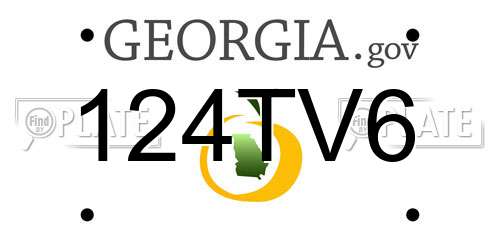 124TV6 Georgia License Plate