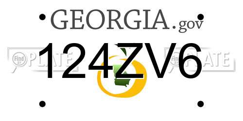 124ZV6 Georgia License Plate