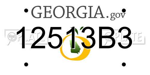 12513B3 Georgia License Plate
