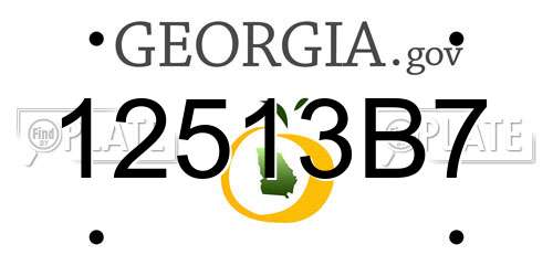 12513B7 Georgia License Plate