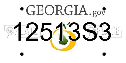 12513S3 Georgia License Plate