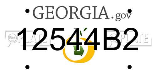12544B2 Georgia License Plate