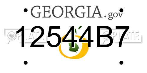 12544B7 Georgia License Plate