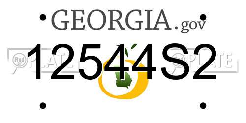 12544S2 Georgia License Plate