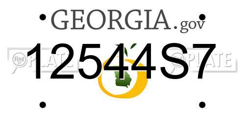 12544S7 Georgia License Plate