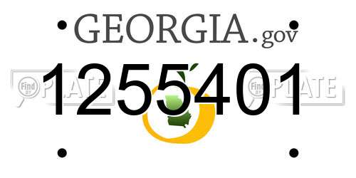 1255401 Georgia License Plate