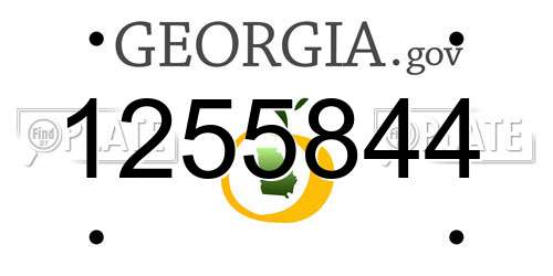 1255844 Georgia License Plate