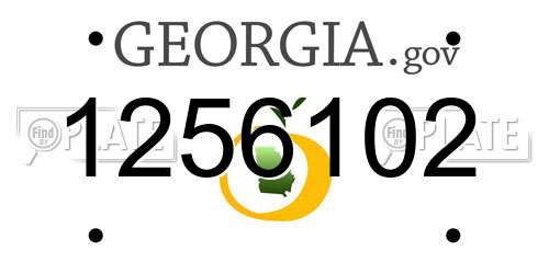 1256102 Georgia License Plate