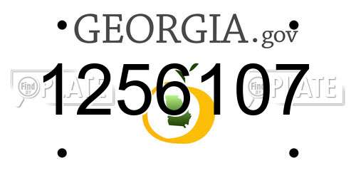 1256107 Georgia License Plate