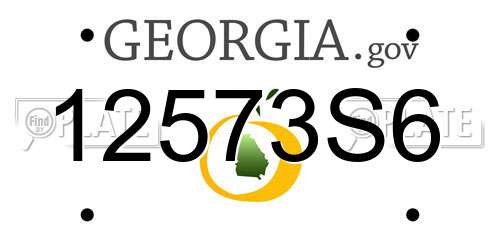 12573S6 Georgia License Plate