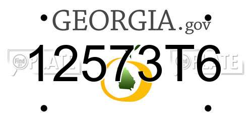 12573T6 Georgia License Plate