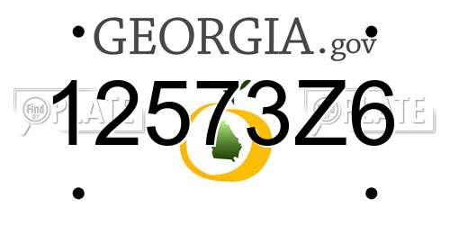 12573Z6 Georgia License Plate