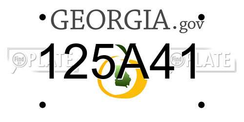 125A41 Georgia License Plate