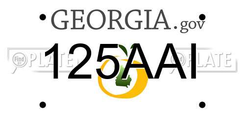 125AAI Georgia License Plate