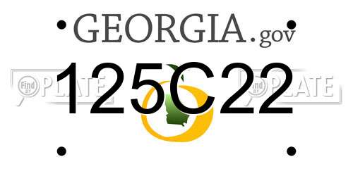 125C22 Georgia License Plate