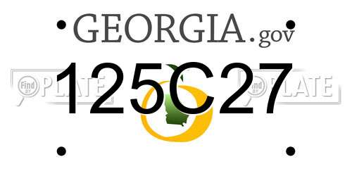 125C27 Georgia License Plate