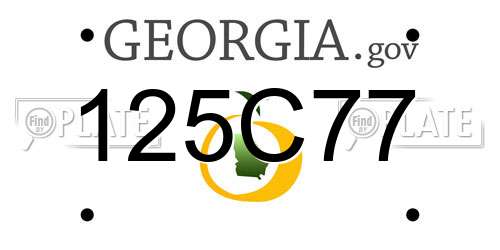 125C77 Georgia License Plate