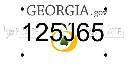 125J65 Georgia License Plate